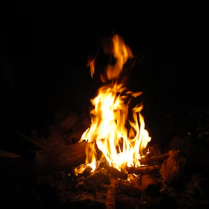 Bonfire