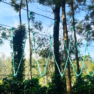 Burma Bridge