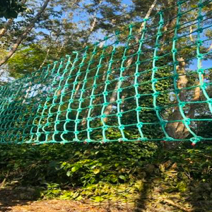 Net Climbing